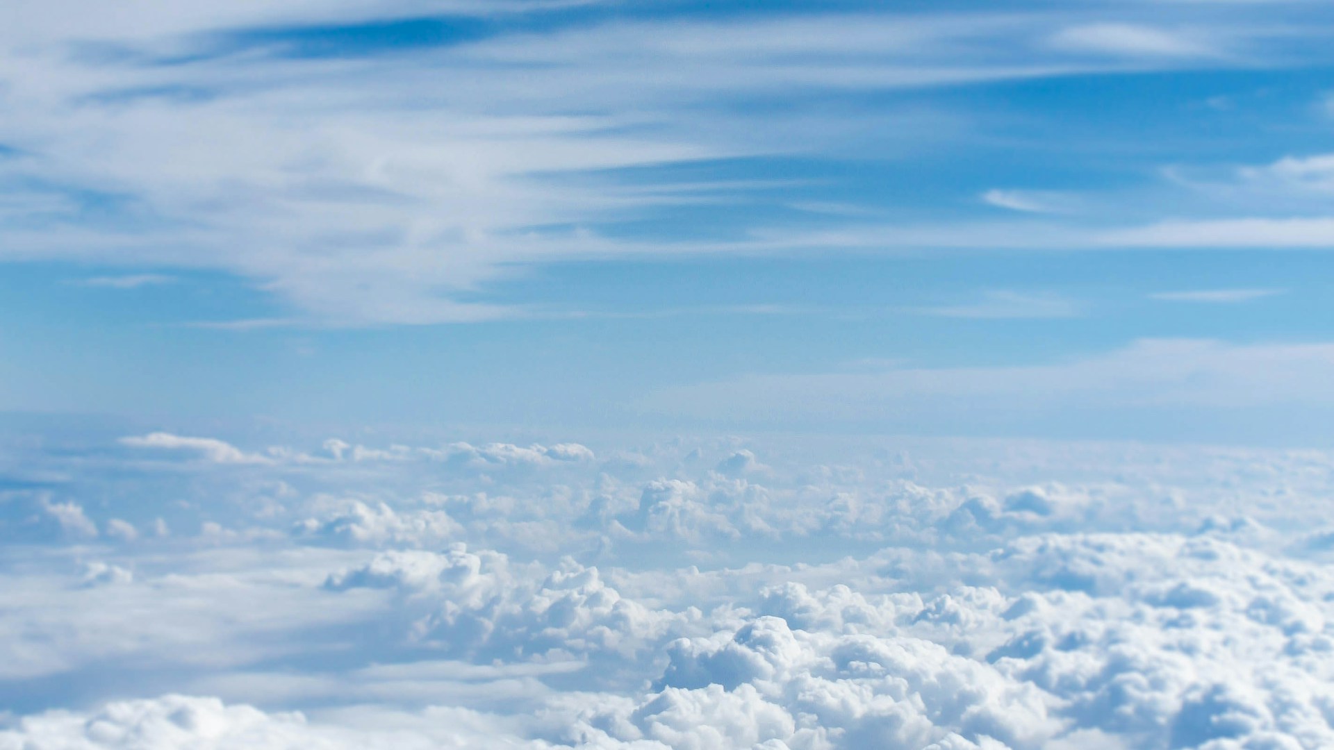 Snowy Winter Landscape